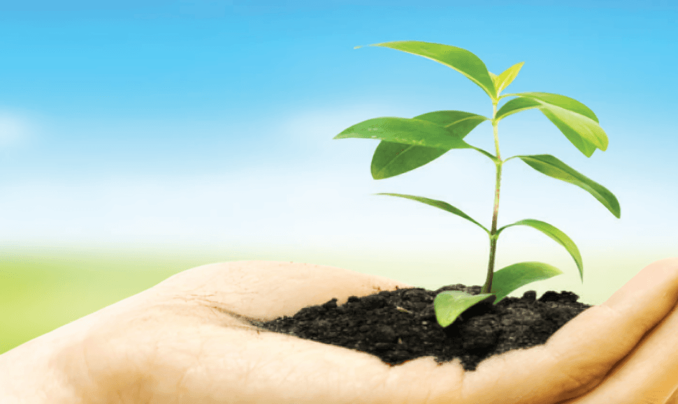 Avant Pharma Product Development