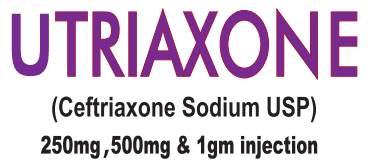 GENERAL HEALTH PORTFOLIO product 1